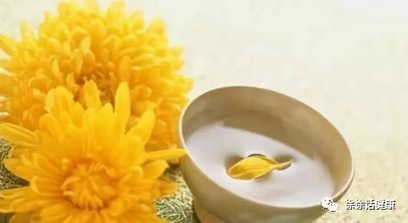 毫菊杭菊滁菊贡菊的功效差别,杭菊贡菊花