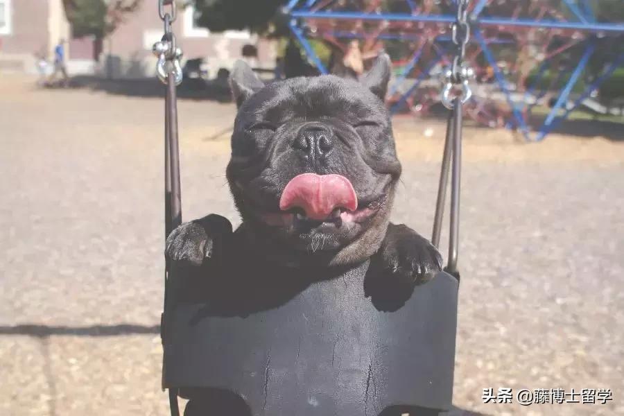 活跃的老太太们抖音生活日记,中年人朋友圈都发些什么