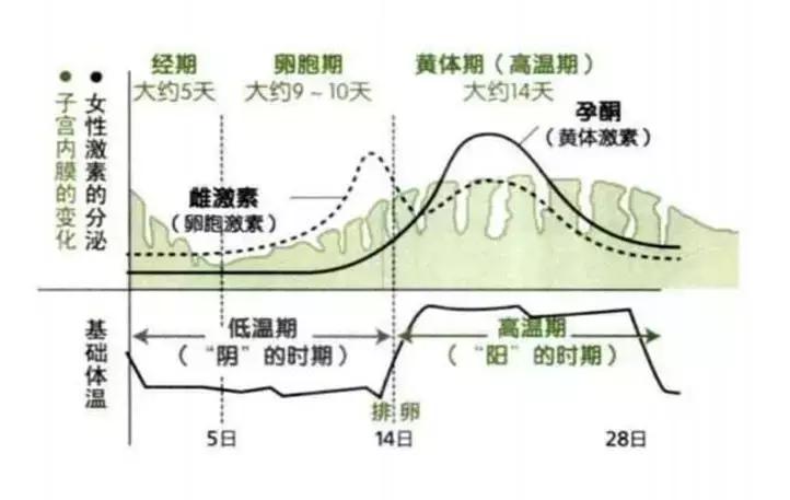 鐭ュ惁鏄庡叞鏂楀悍濮ㄥ,鐭ュ惁鐭ュ惁濂冲瓙瀹枟
