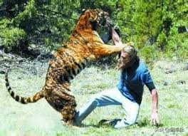 在非洲不幸遇到狮子过来怎么办?动物专家这一招可能救你一命