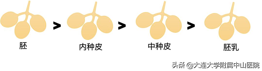中医养生从养生开始,中医养生从头到脚讲座全集