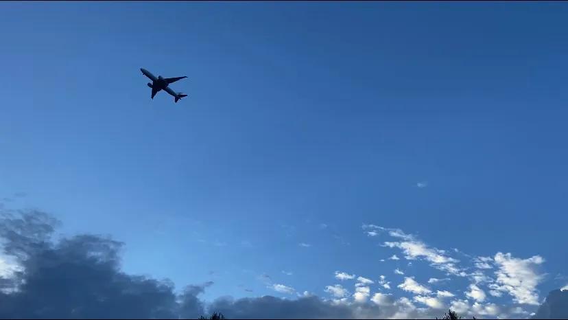 上海看美丽的大海,上海哪里有海滩看大海免费