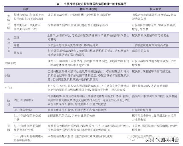 神经源性膀胱患者治愈采访,神经源性膀胱康复案例