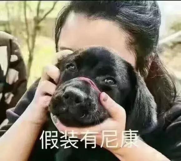 打死我也不承认，用过这么羞耻沙雕的QQ签名