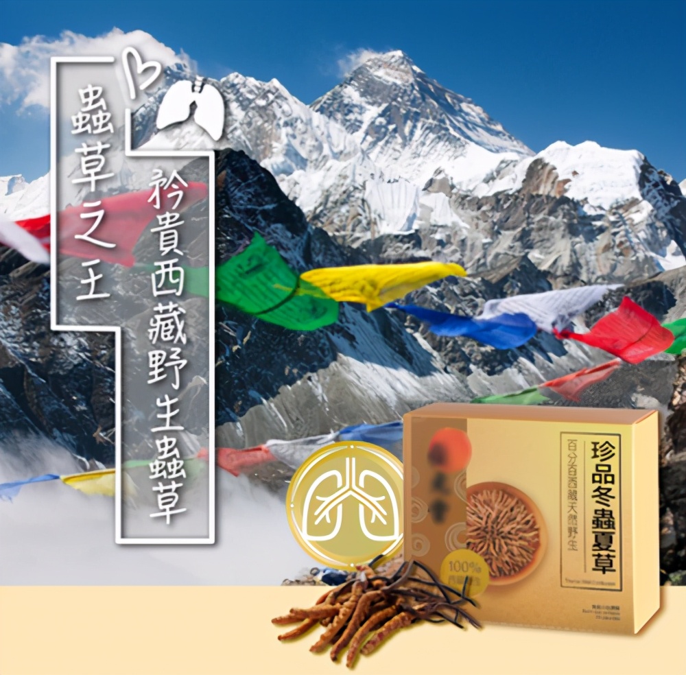 虫草保肝益肾 (虫草具有补肺益肾)