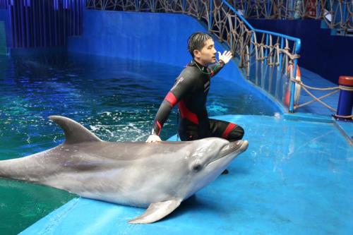 西安幻太奇海洋馆门票价格是多少,西安太奥幻太奇海洋馆营业到几点