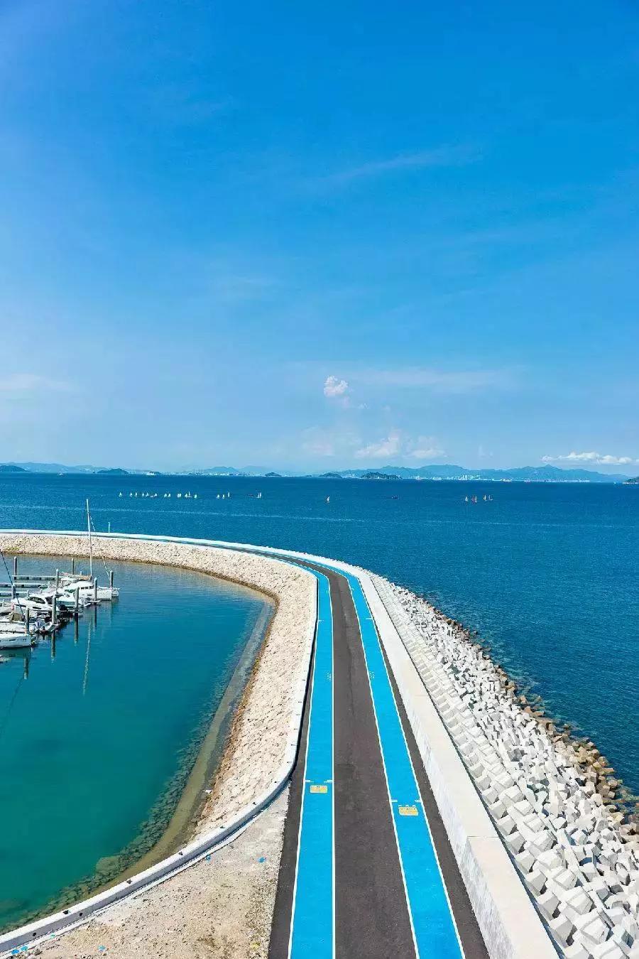 发现深圳红树林之美,发现小众风景点