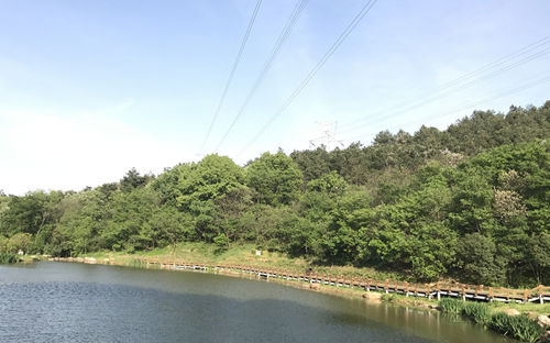 国内著名广场有哪些各省市著名城市广场盘点