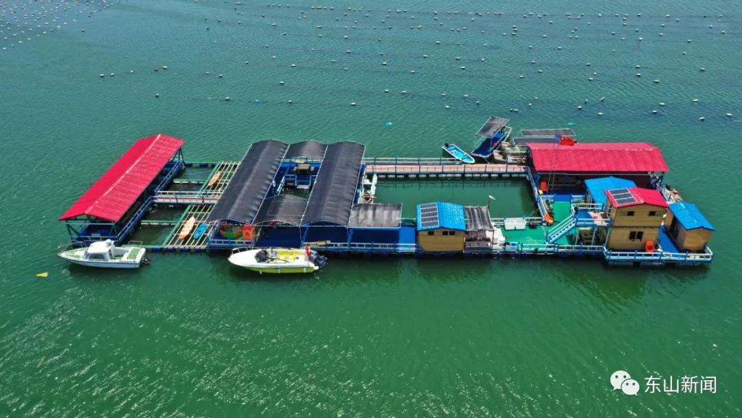 海上去哪玩,东山岛海边哪里有螃蟹抓