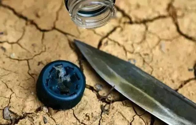 野外求生净化水的方法,野外生存取水的正确方法