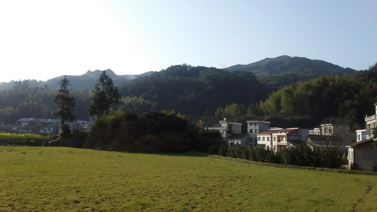 土得掉渣的老一辈农村名字,土得掉渣的电视背景墙