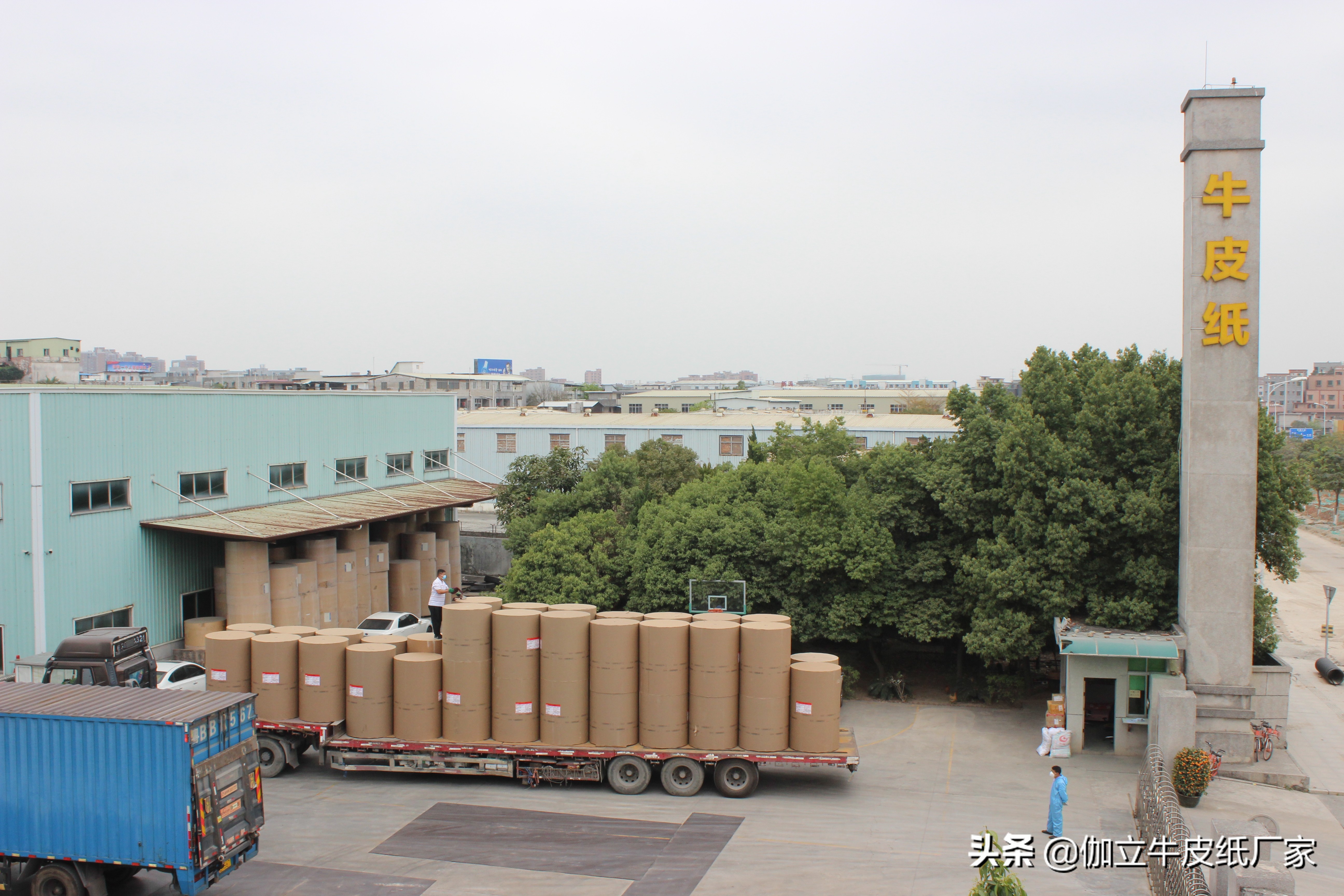 纸制品包装市场发展趋势,惠州牛皮纸包装纸箱批发