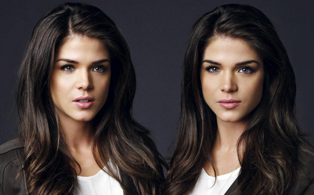 多莉克隆羊是怎么克隆出来的,克隆羊多莉的成功意义和影响