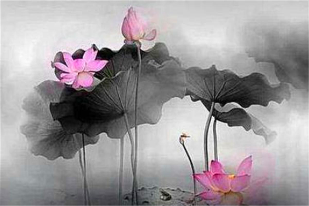 俗语：饱谙世事慵开眼，会尽人情只点头，啥意思？做人是一门艺术