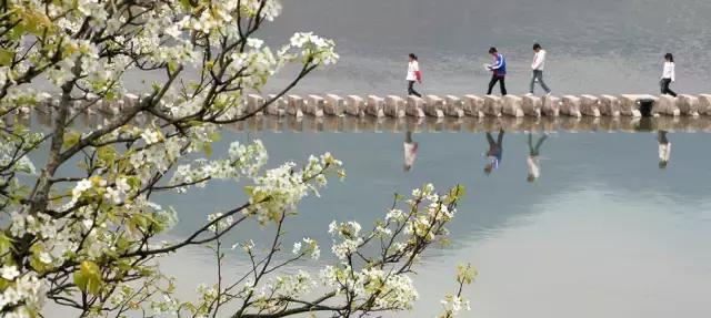 温州哪里好玩不用钱呢,温州旅游攻略最值得去的地方