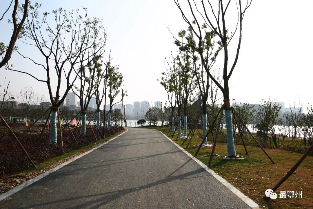 鄂州是一个未来可期的城市,鄂州属于中心城市吗