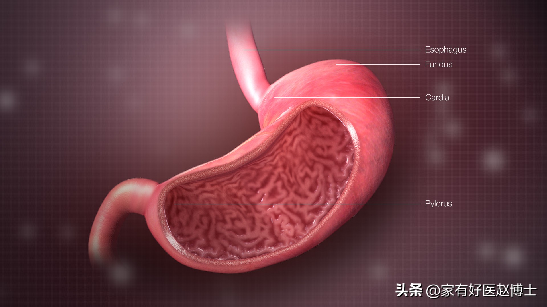 患癌最多的疾病以及预防,四种高致癌性炎症