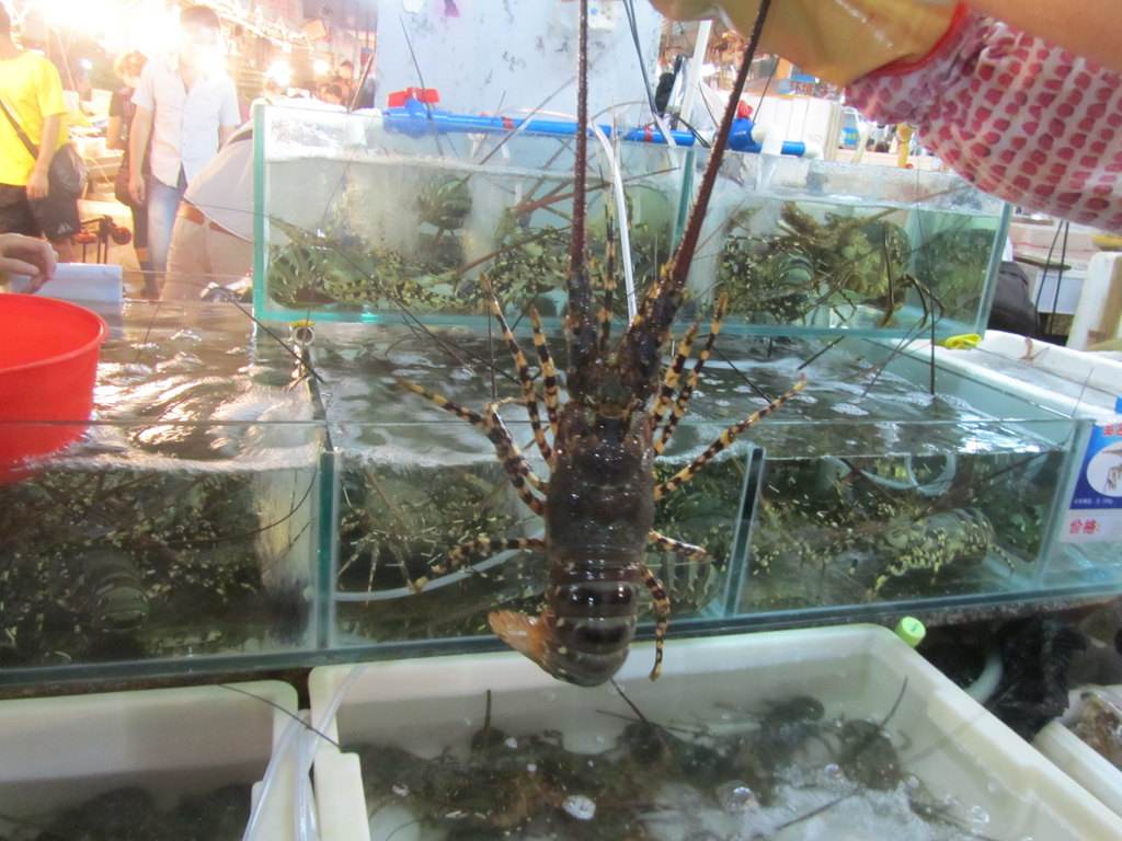 强烈推荐三亚五日游自由行线路,三亚三日游经典路线推荐