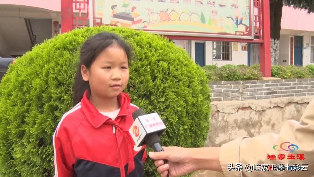 平凡的一线教师不平凡的教育故事,致敬老师感人故事