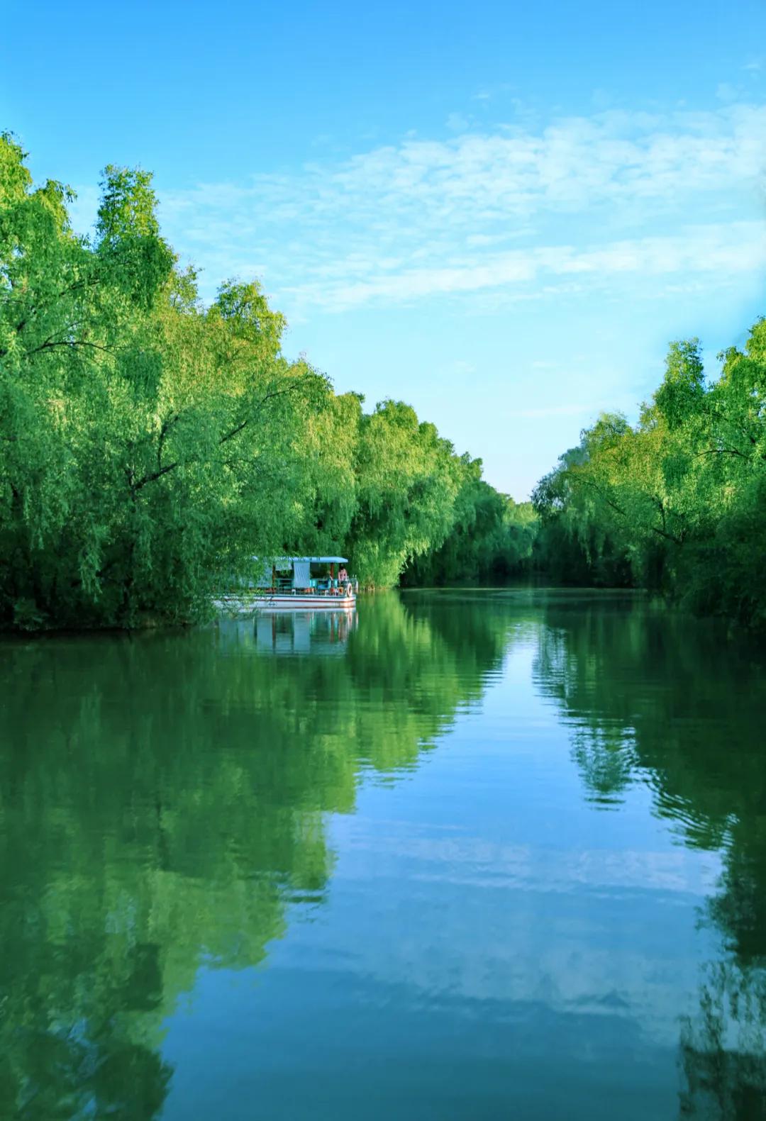 广州吃海鲜最便宜的地方2018年,广州的海鲜哪里又新鲜又便宜