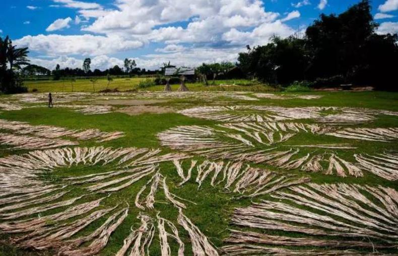 孟加拉有多魔幻,孟加拉国有多魔幻