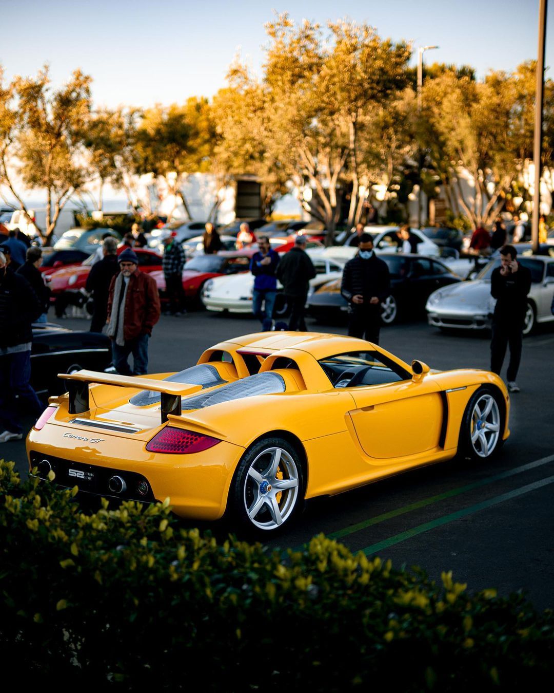 小黄车干扰,小黄车困扰