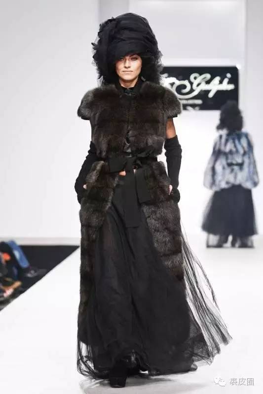 裘中之王野生紫貂,裘中之王是什么意思