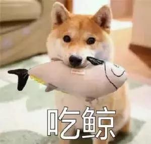 小孩生病治愈后吃什么,孩子生病了吃什么快速恢复体力