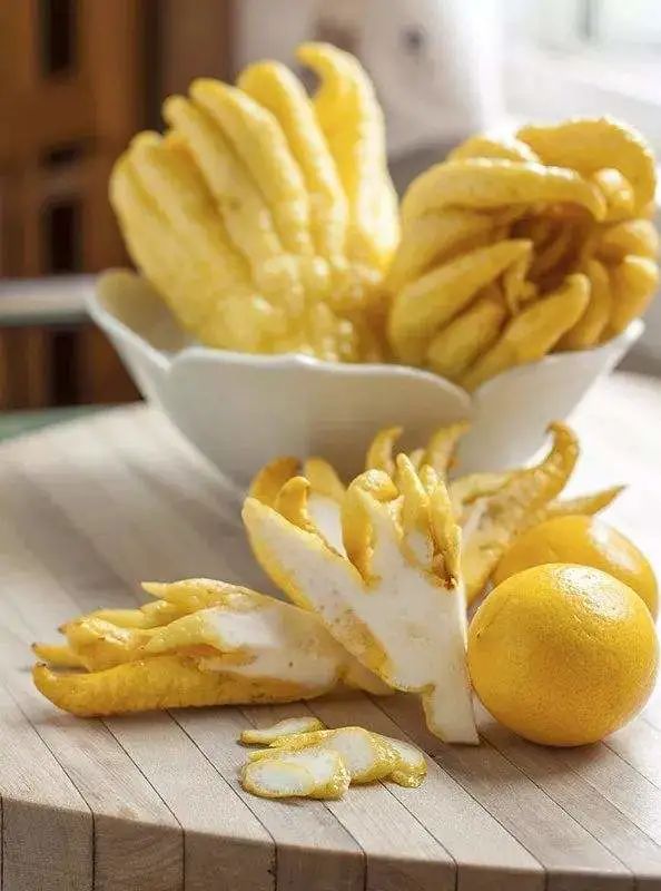 疏调气机汤治疗什么病,疏调气机治疗