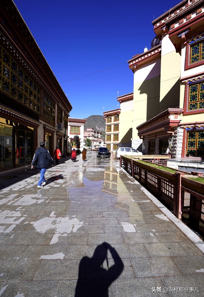 鍒濊鏄岄兘,鍒濋亣瑗胯棌