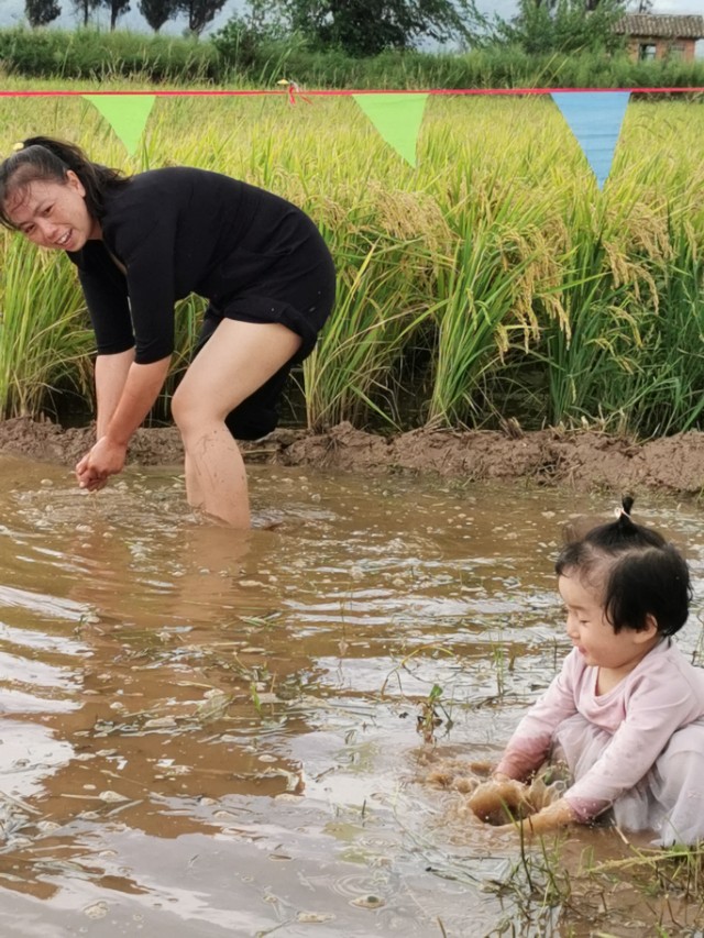 寻甸渔乐谷最新消息,寻甸欢乐世界项目大全