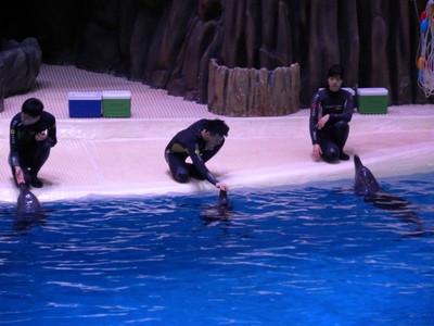 珠海长隆童趣乐园游玩攻略,出发游玩转珠海长隆海洋王国