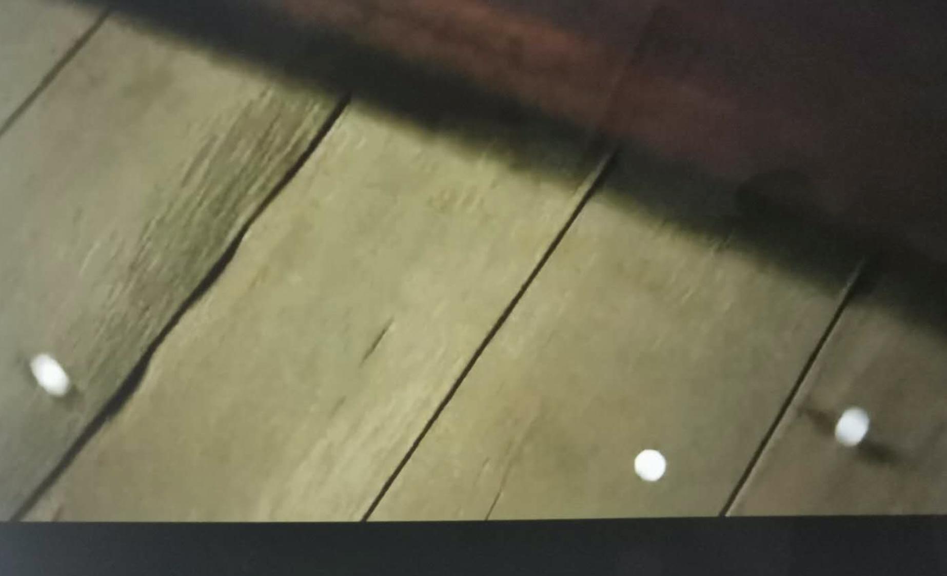 纳尼亚传奇巨作,纳尼亚传奇奇幻