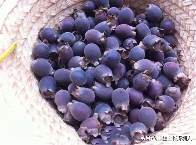 冷门地名生僻字,地名生僻字