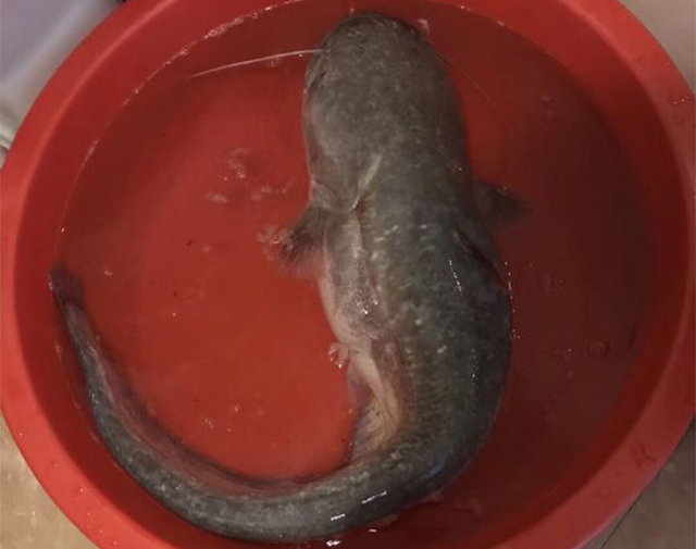 钓鱼人的收获有哪些,钓鱼人意想不到的收获