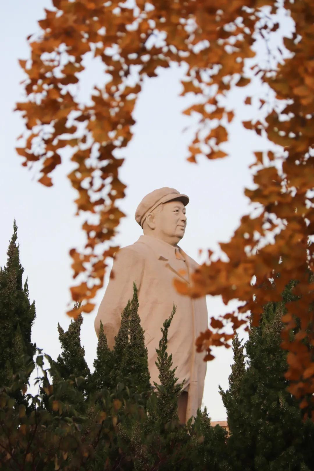 醉美大工秋|读书不觉已秋深，____________