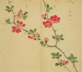 惊艳千年的古诗词合集,五千年来最美的20首诗