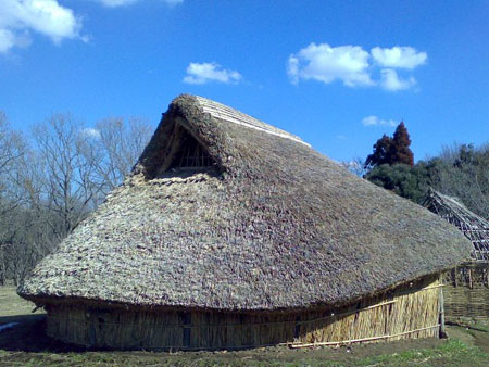 为什么日本用繁体汉字,日本为啥使用汉字