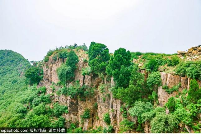 七夕宝典|山有木兮卿有意，昨夜星辰恰似你~