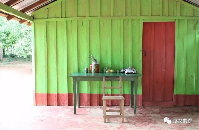 中国年年进口的大豆，为何让巴拉圭从富饶变得死寂？