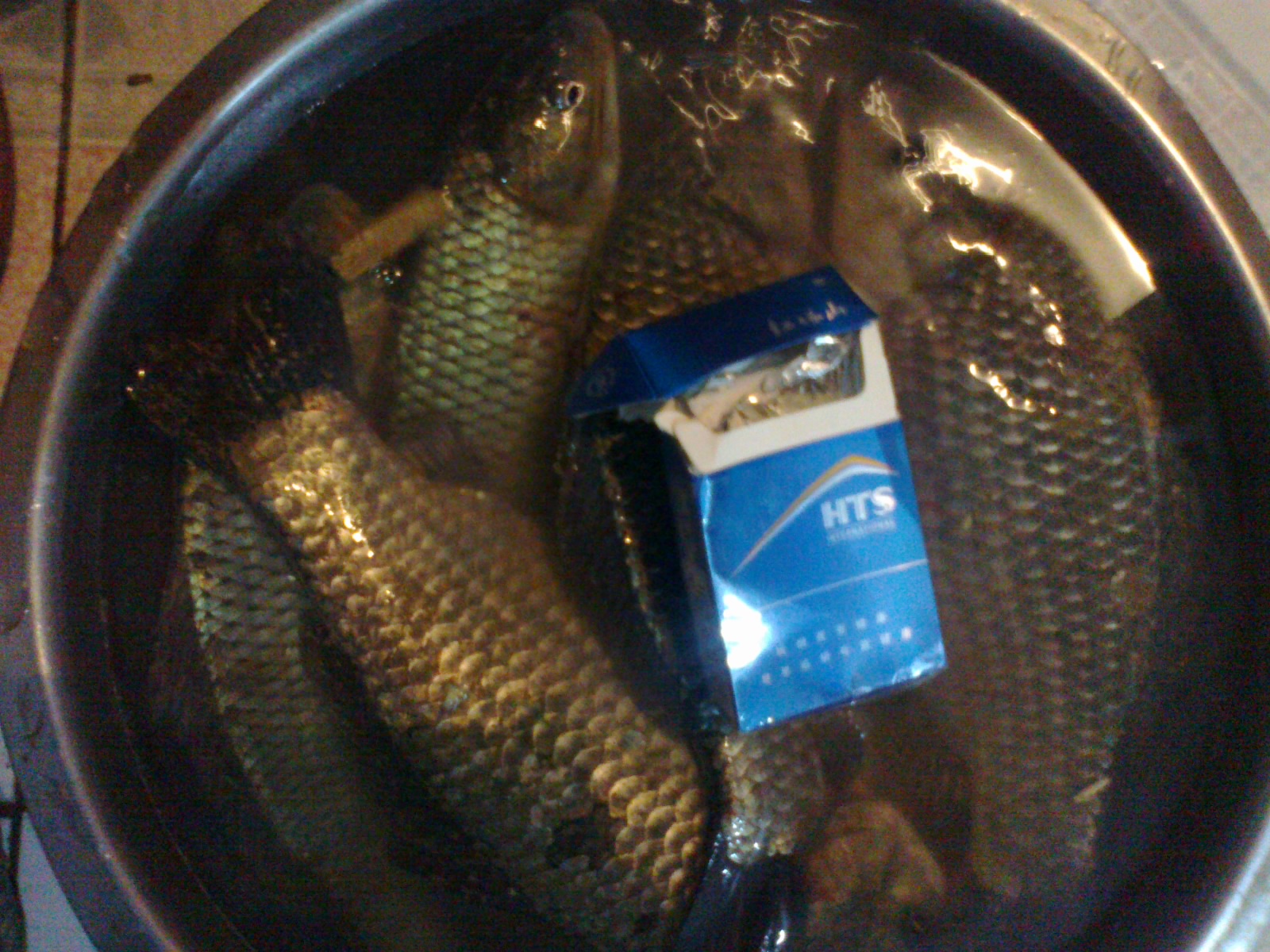 一位钓鱼人一般有几种饵料,钓鱼人的一生电影完整版