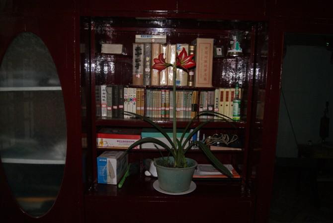 诗词中含有成语的古诗,诗词成语摘抄