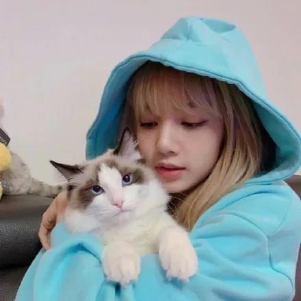 爱豆壁纸好运图片高清大图,明星爱豆头像