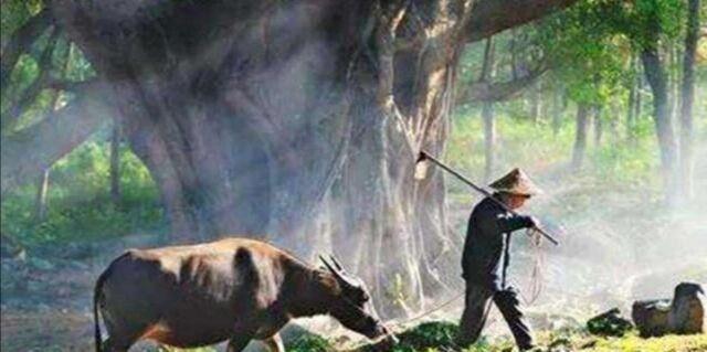 俗语：“床不离七、棺不离八、桌不离九”说的什么？背后有何渊源