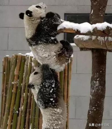 朋友圈最火的6张图片道破人性,朋友圈最火的4张图片道破人性