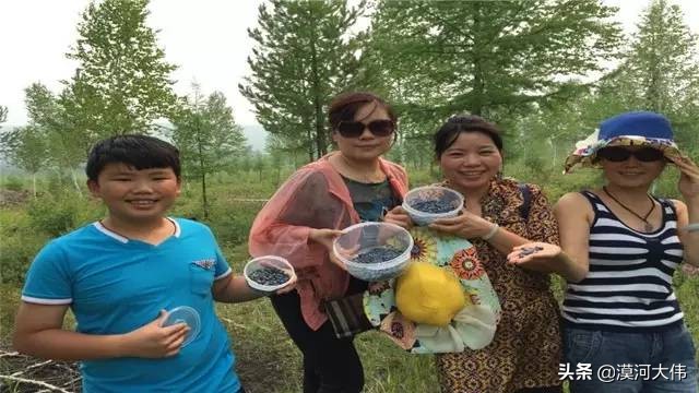 森林草原自驾游,森林亲子旅游攻略图片大全