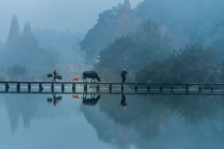 后期调色是怎么回事,后期调色多难