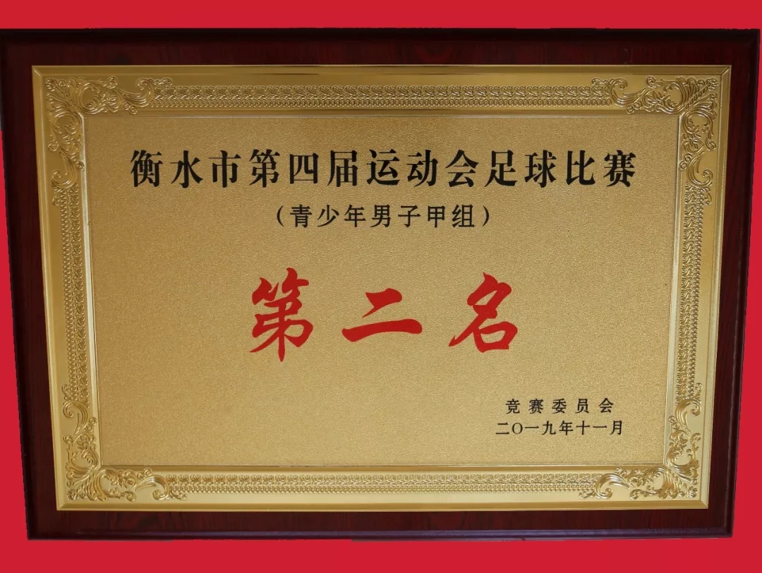 桃城中学中考大捷,衡水中学捷报2019