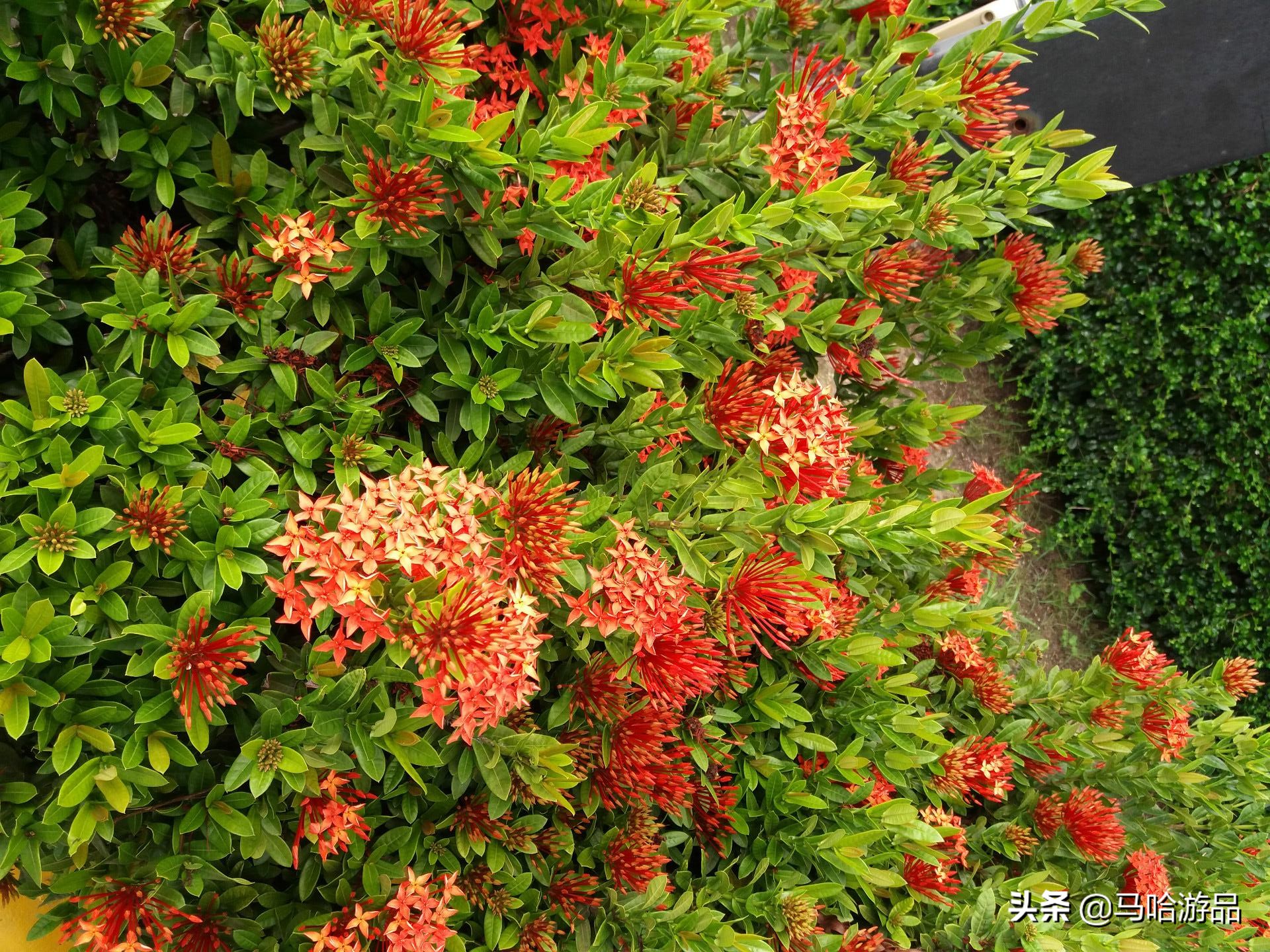 中国飞泰国旅行攻略,五一节从中国自驾去泰国