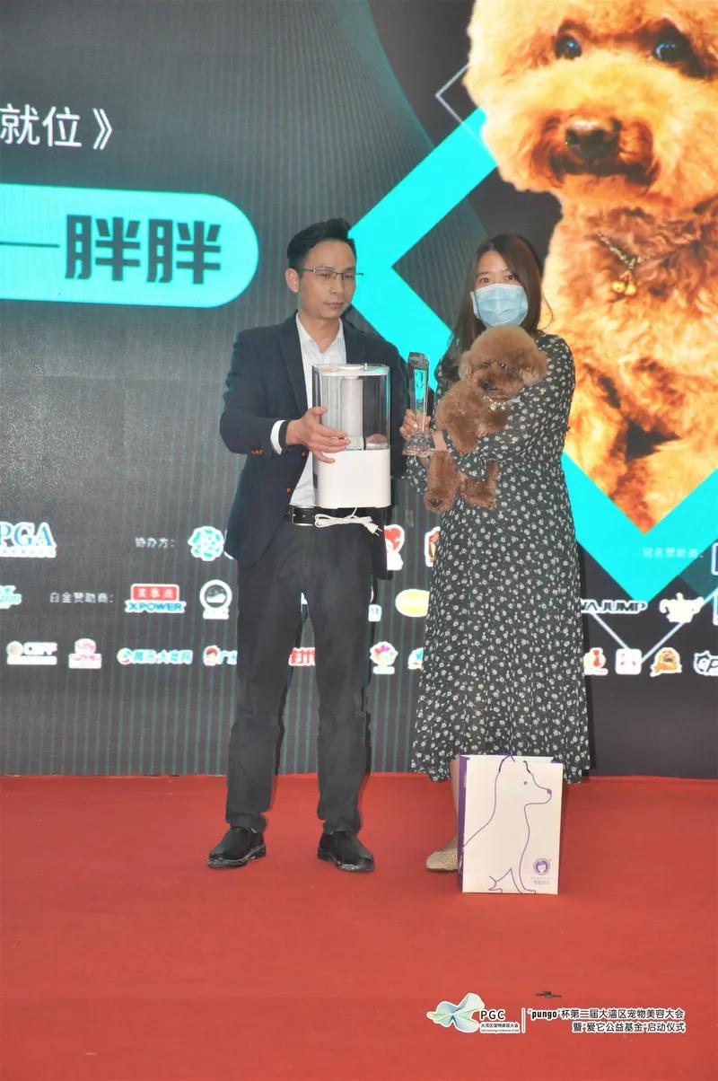 pungo瀹犵墿缇庡,瀹犵墿澶ц禌瀹岀編钀藉箷